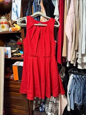 Express Red Sleeveless Pleated Fit-and-Flare Dress